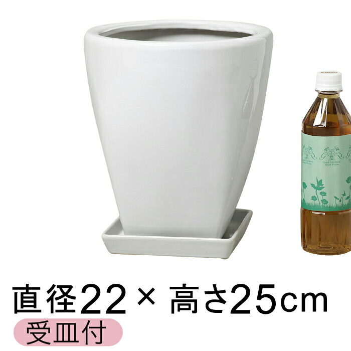 ツルツル 上丸下角型 陶器鉢 白 つや有 S 22cm 5.5リットル 受皿付 植木鉢 おしゃれ 鉢カバー
