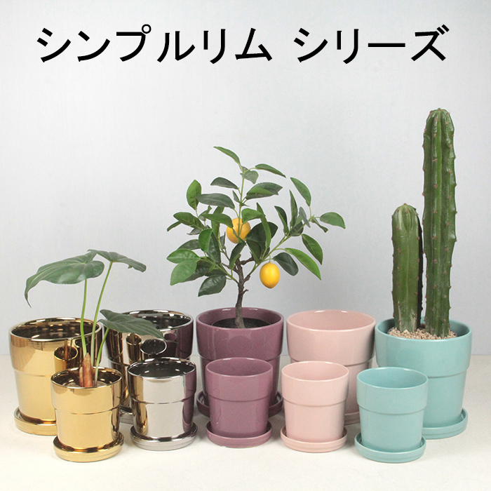 植木鉢 陶器鉢 シンプル リム 12cm イエロー系 〔受皿付〕 釉薬 陶器