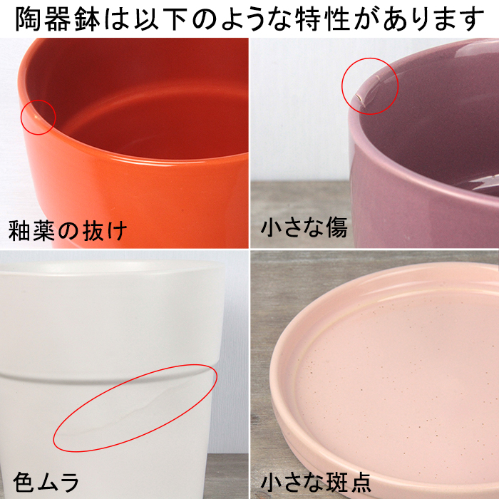 植木鉢 陶器鉢 シンプル リム 12cm イエロー系 〔受皿付〕 釉薬 陶器