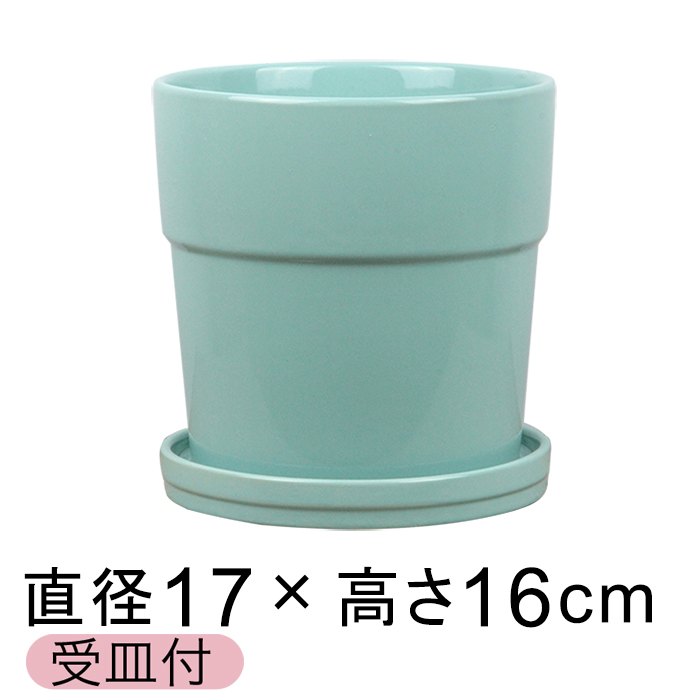 植木鉢 陶器鉢 シンプル リム 17cm 薄ブルー系 〔受皿付〕 釉薬 陶器