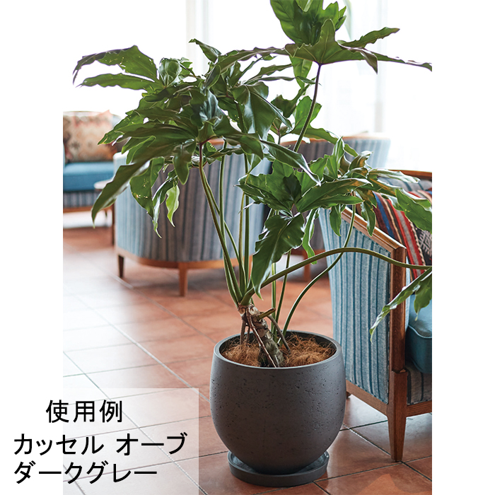 本当に信頼出来る店 25cm オーブ カッセル 6.5リットル セメントの ダークグレー 鉢・プランター用品