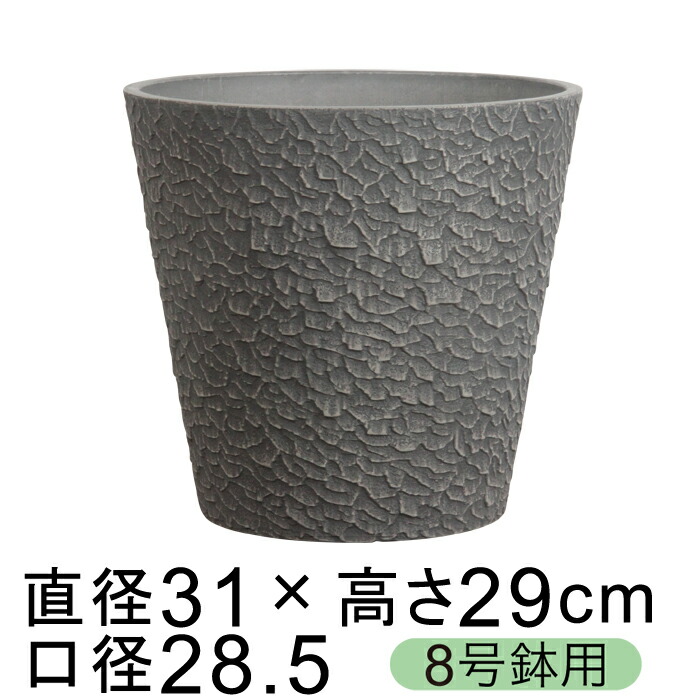 dE Jo[ GRtbN|bg  31cm `R[n 8K ꌊ H̑I