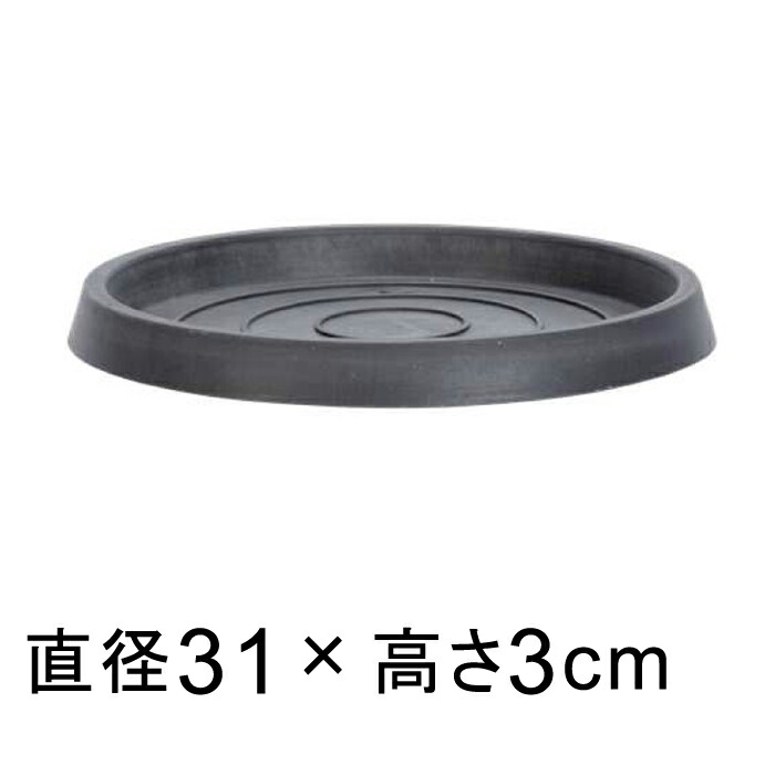 yMzdE M ی^ 31cm `R[n K锫꒼a25cmȉ̐Aؔ