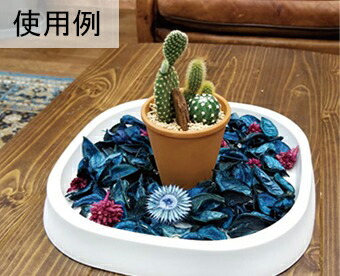 【受皿】プランツプレート 23cm ダークグレー ◆適合する鉢◆アトリエスクエア 23cm、底直径が18cm以下の丸型の植木鉢 |  | 03