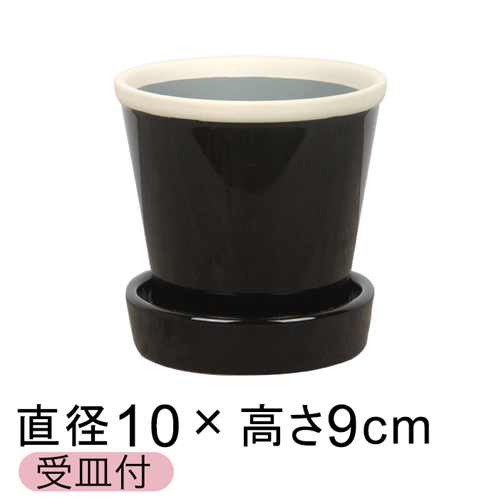  Aؔ   ObV[ POT 3 10cm D`R[ L Mt ѓ  