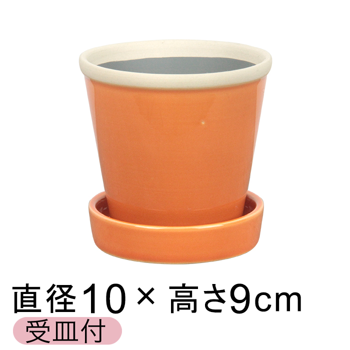  Aؔ   ObV[ POT 3 10cm GAvRbg L Mt ѓ  