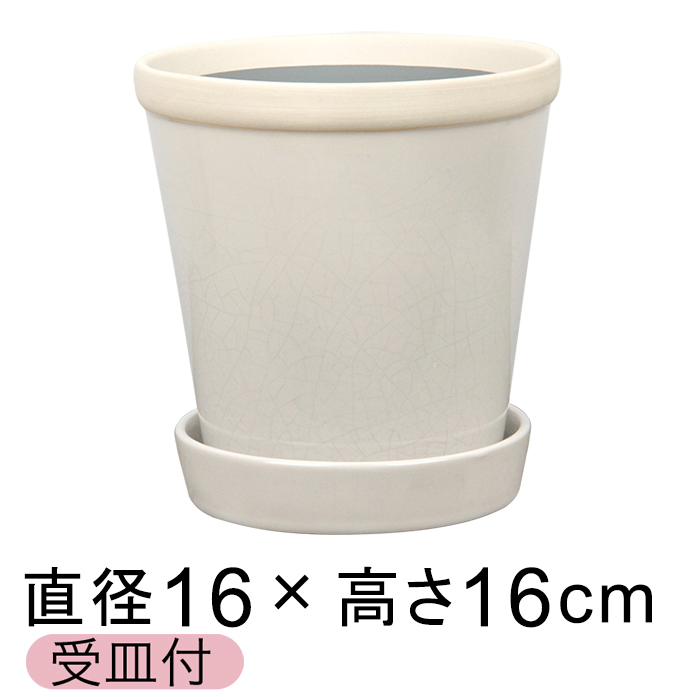  Aؔ   ObV[ POT 5 16cm AXm[ L Mt ѓ  