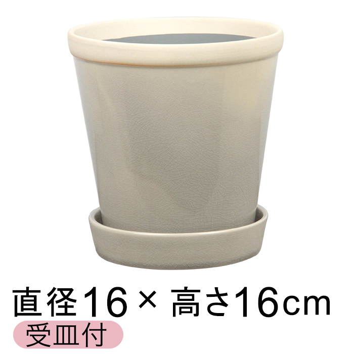  Aؔ   ObV[ POT 5 16cm B[~Xg L Mt ѓ  