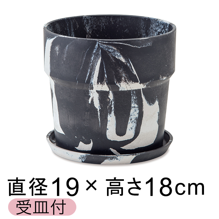  Aؔ EbhXg[v|bg 19.5cm 6 Mt `R[E~N 2F}[u