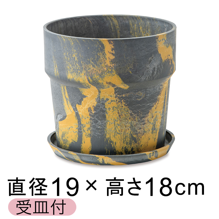  Aؔ EbhXg[v|bg 19.5cm 6 Mt ZT~E 2F}[u