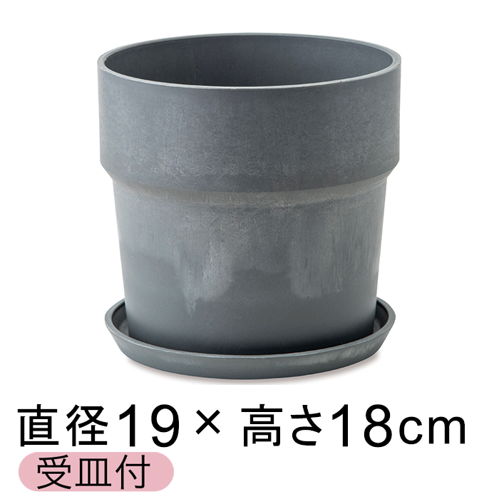  Aؔ EbhXg[v|bg 19.5cm 6 Mt ZT~ A[gXg[