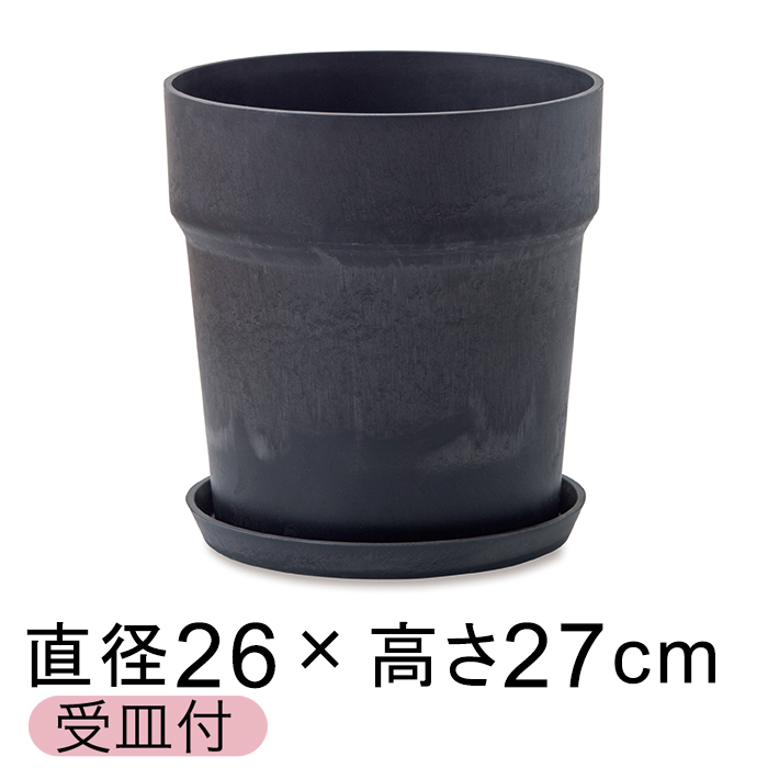  Aؔ EbhXg[v|bg 26.5cm 8 Mt `R[ A[gXg[