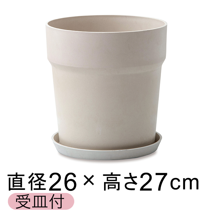  Aؔ EbhXg[v|bg 26.5cm 8 Mt ~N A[gXg[