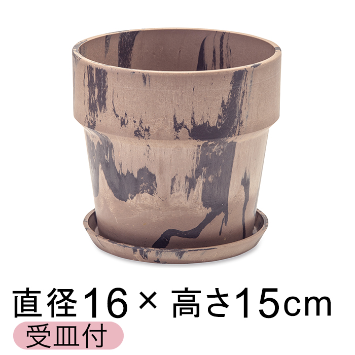  Aؔ EbhXg[v|bg 16.5cm 5 Mt ViE`R[ 2F}[u