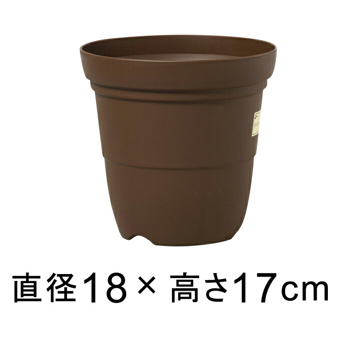 カラーバリエ 長鉢 6号 18.2cm コーヒーブラウン 2.4リットル 植木鉢 おしゃれ 室内 屋外 プラスチック 軽い 深い かわいい シンプル