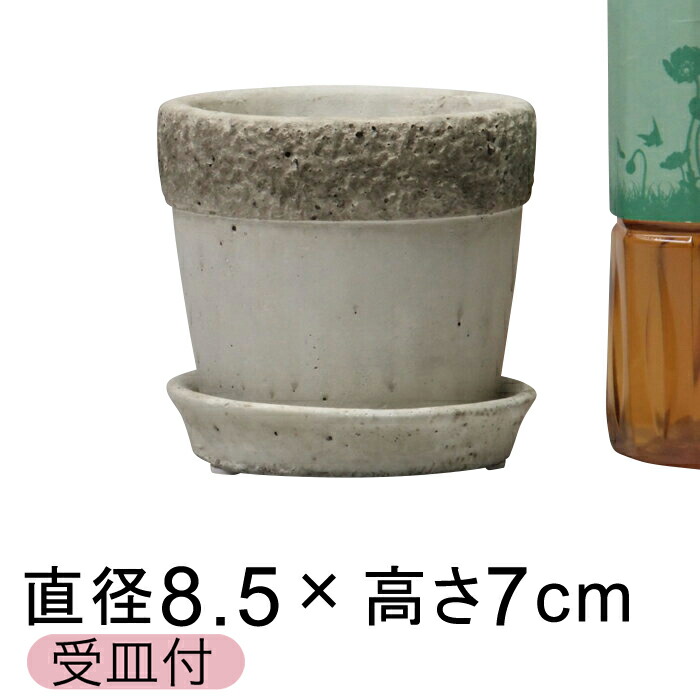 ¥»¥á¥ó¥È¥Ý¥Ã¥È ¥ê¥È ¿¢ÌÚÈ ¤ª¤·¤ã¤ì ´Ý·¿ 8.5cm ¡Ì¼õ»®ÉÕ¡Í