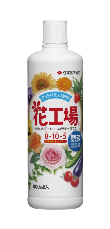 ²Ö¹©¾ì ¸¶±Õ 800ml ±ÕÈî ®¸úÀÈîÎÁ