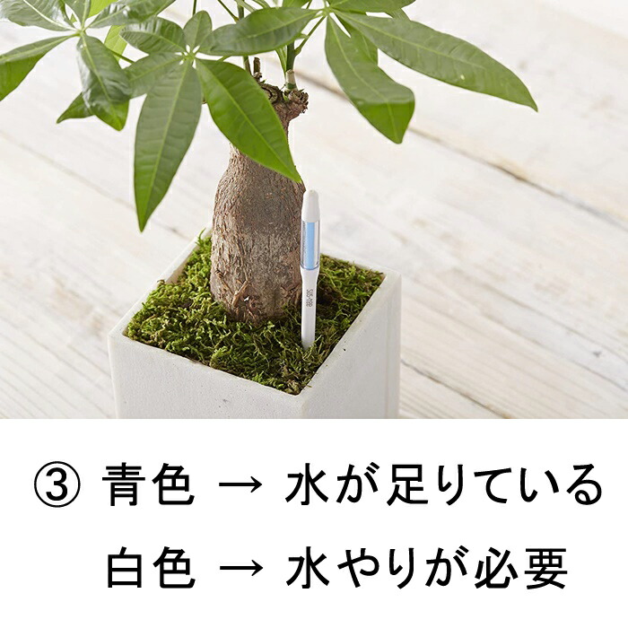 送料無料 水やりチェッカー SUSTEE サスティー Sサイズ ホワイト キャビノチェ 直径6〜9cm位の鉢用 水分計 サスティ ◆クリックポスト(メール便) 関連画像4