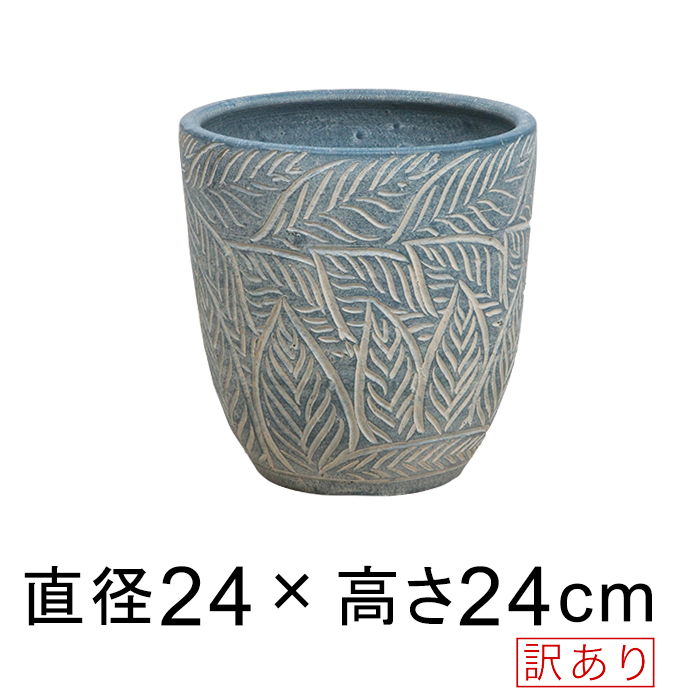  ꡼    ȭ ֥롼 S 24cm 7åȥ [of20]