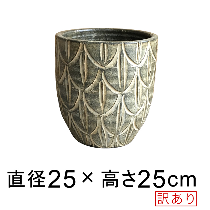     ꡼  ȭ S 25cm 7.5åȥ [of20]