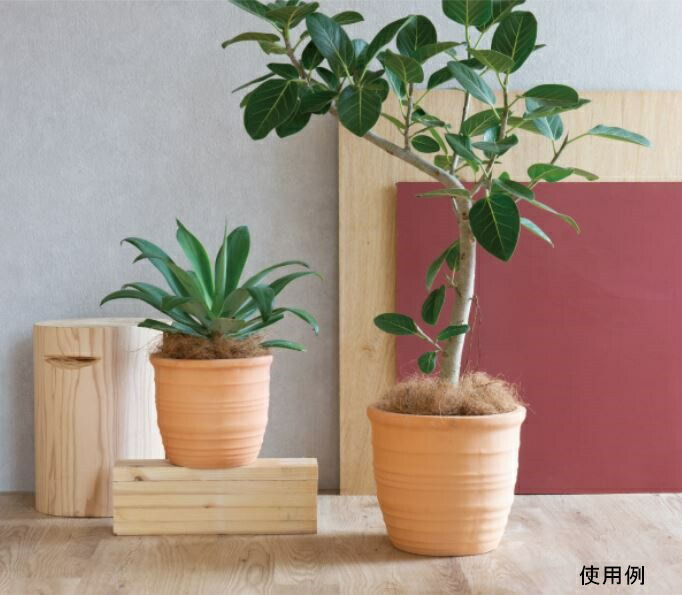 テラコッタ 大中小 3セット 植木鉢 素焼き ポット sjfinancial.ca