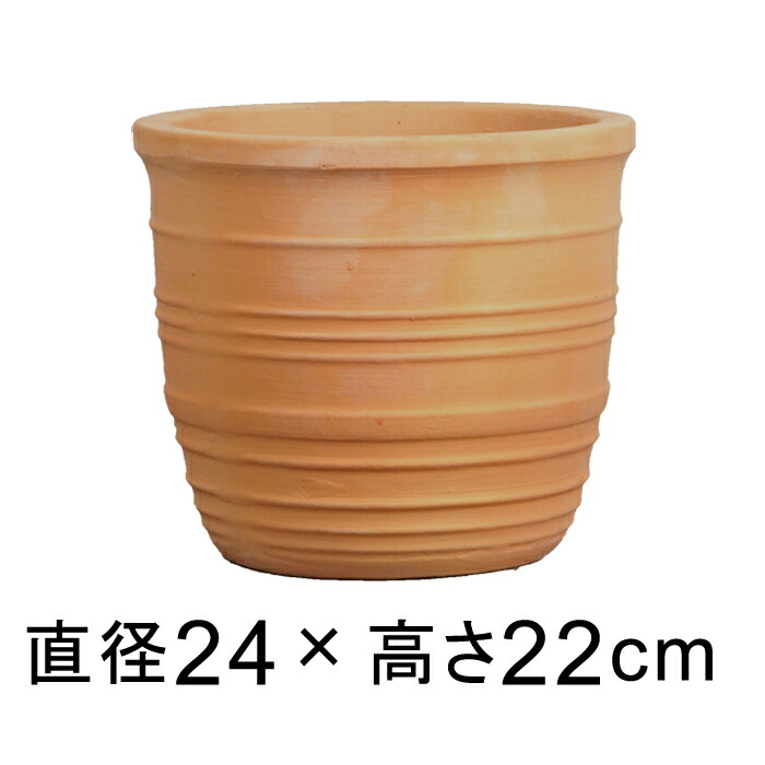 ²£¥é¥¤¥ó ÁÇ¾Æ¤È ¥Æ¥é¥³¥Ã¥¿ È ¾® 24cm 5¥ê¥Ã¥È¥ë ¿¢ÌÚÈ ¤ª¤·¤ã¤ì