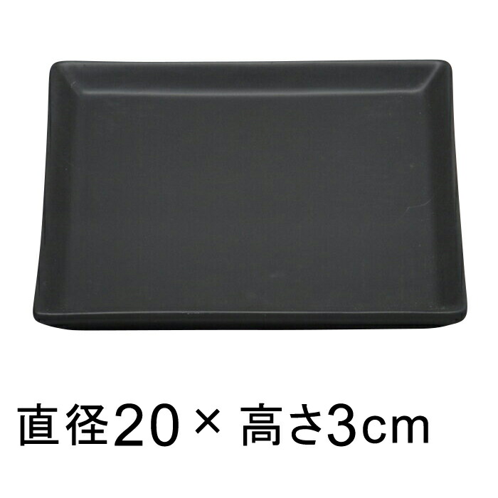  M  △ p 20cmK锫꒼a16.5cmȉ̐Aؔ