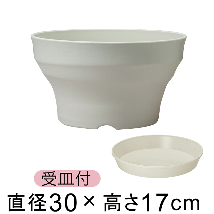 �y��M�t�z�t���O���[�{�[�� 30cm �A�C�{���[ 7���b�g�� �A�ؔ� ������� ���� ���O �v���X�`�b�N �y��