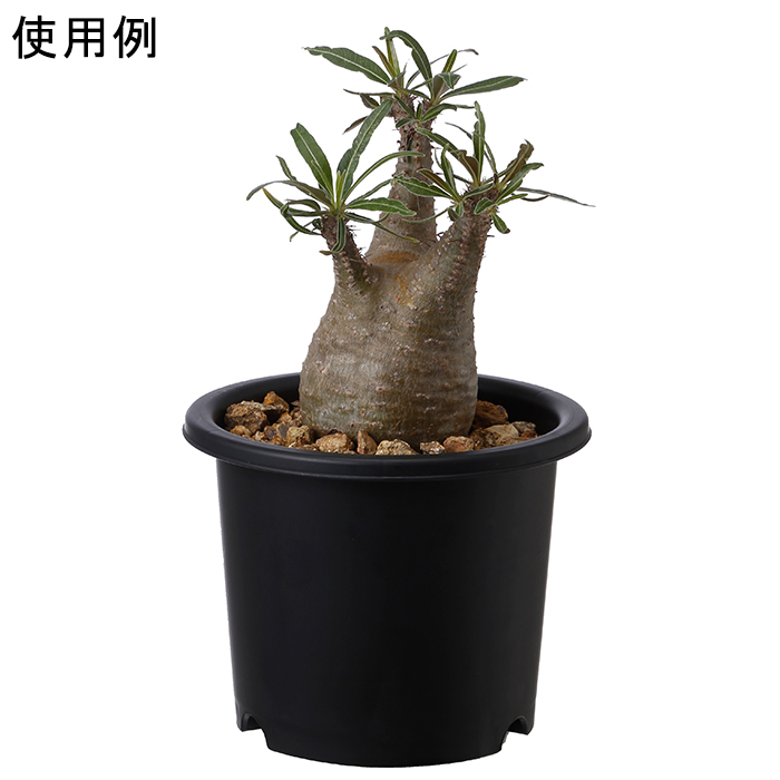 植木鉢 ブラック Uポット 寸胴型 フラワーポット 園芸用品 グラスファイバー鉢 un256_t2.jpg