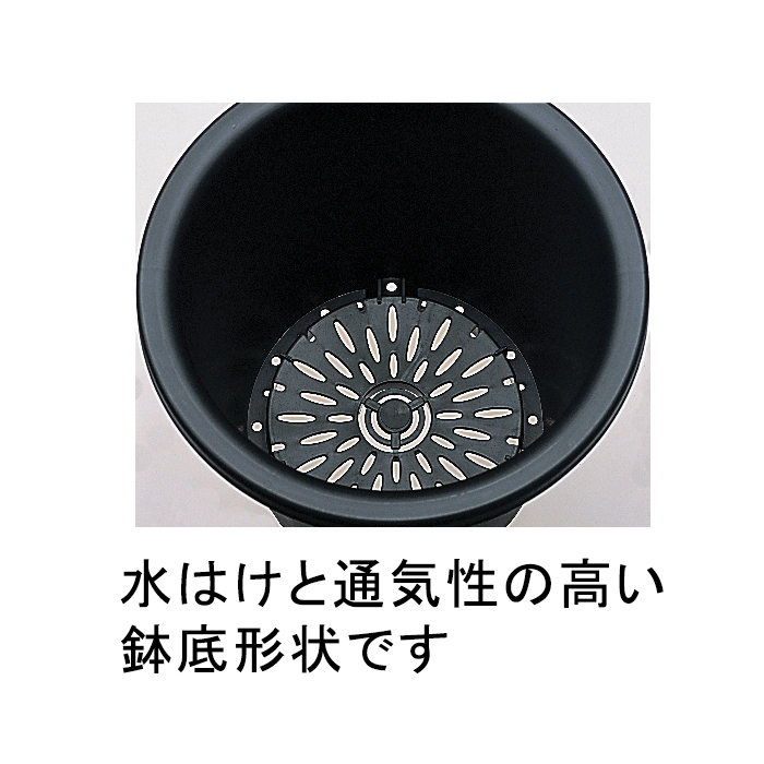 植木鉢 ブラックポット 菊鉢 4号 13.3cm 0.7リットル 黒 寸胴