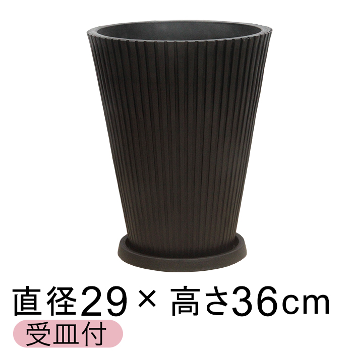 Mt Aؔ  XgCv 29cm 11bg ubNn  