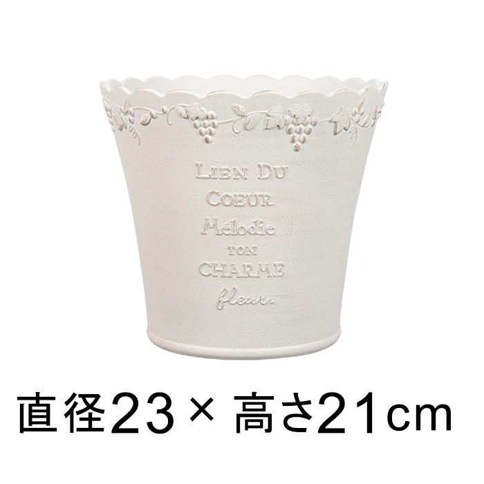  Aؔ EU |bg 23.5cm 6.5bg zCgn 킢 y  v^[