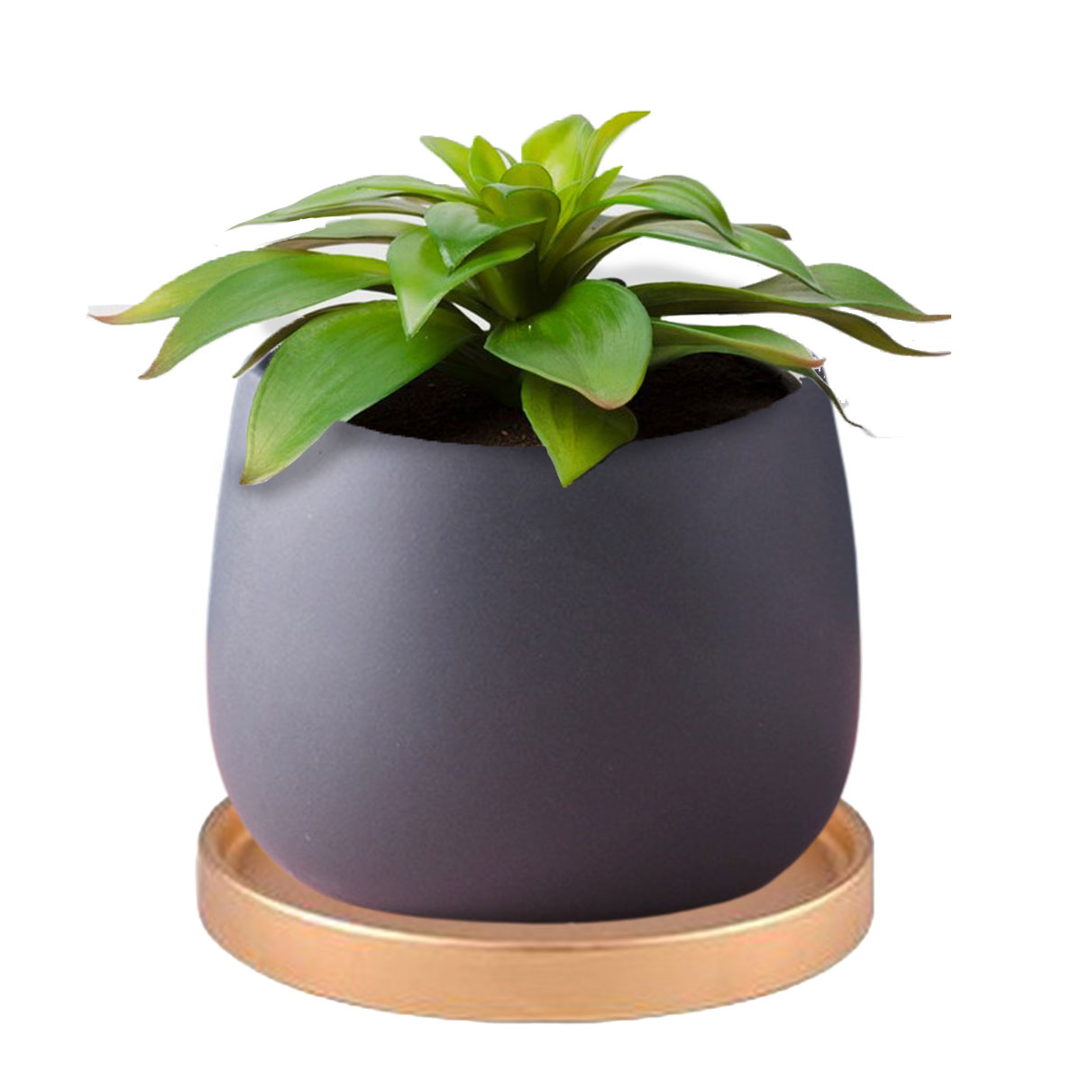 植木鉢 おしゃれ プランター 陶器 受け皿 観葉植物 鉢 多肉植物