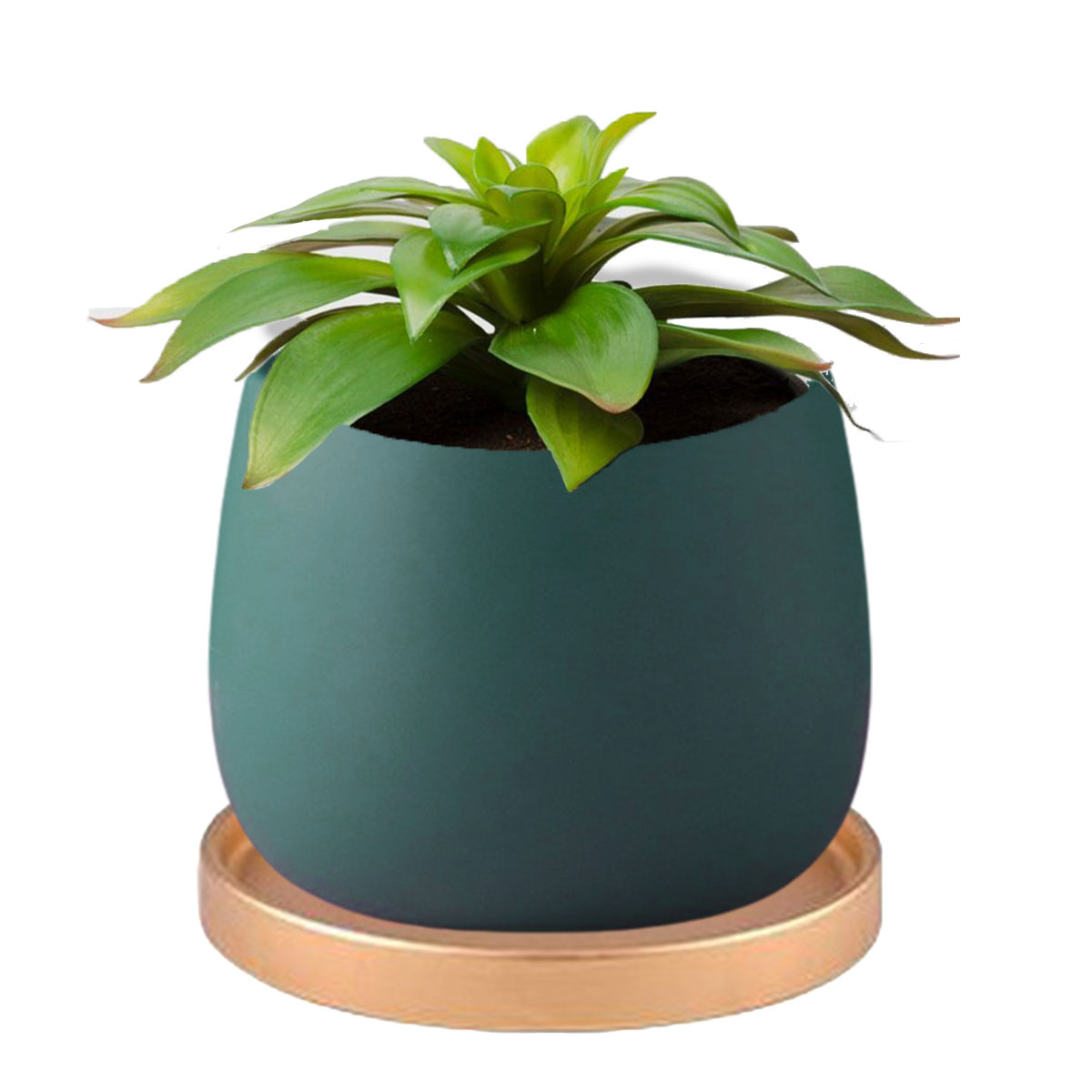 Ramat Planter #296検索: 植木鉢 陶器鉢 作家鉢 プランター Ramat Planter #318検索: 植木鉢 陶器鉢 作家鉢 プランター