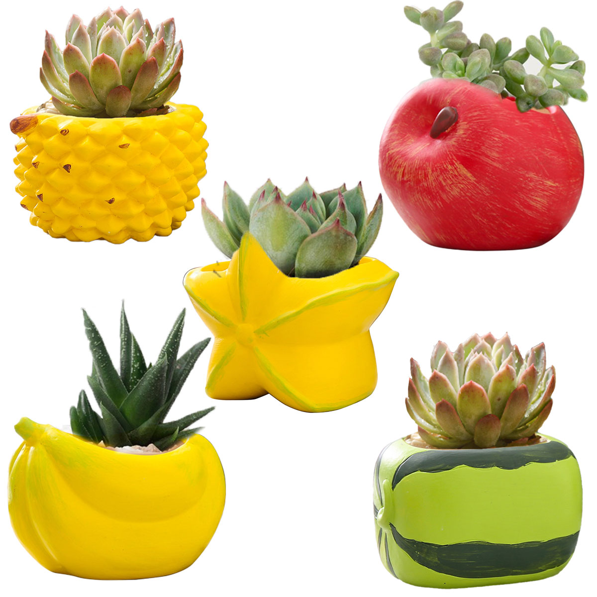 5点セット】植木鉢 おしゃれ 多肉植物 プランター セット 陶器 鉢 観葉