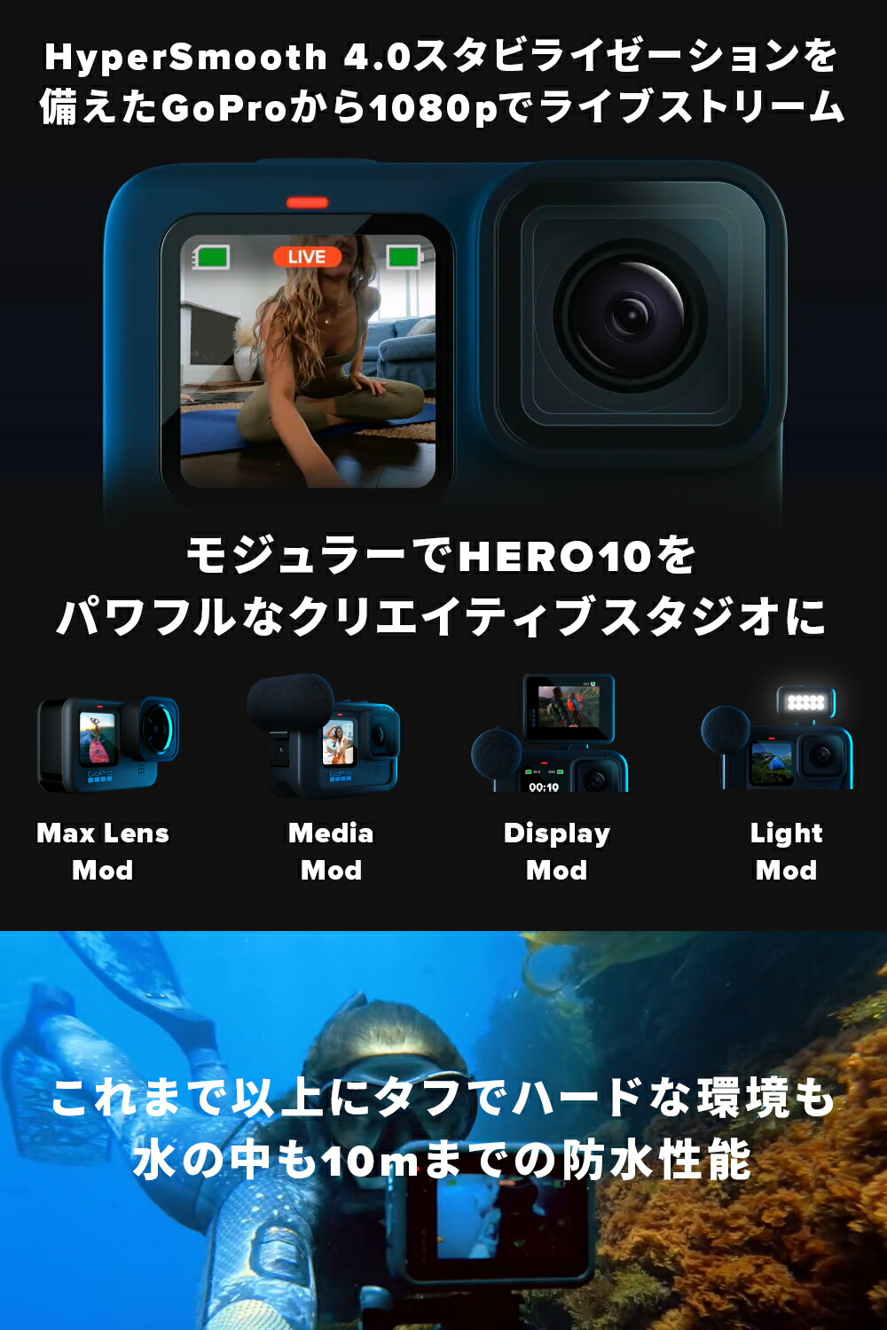 GoPro公式限定 HERO10 Black + デュアルバッテリーチャージャー + 