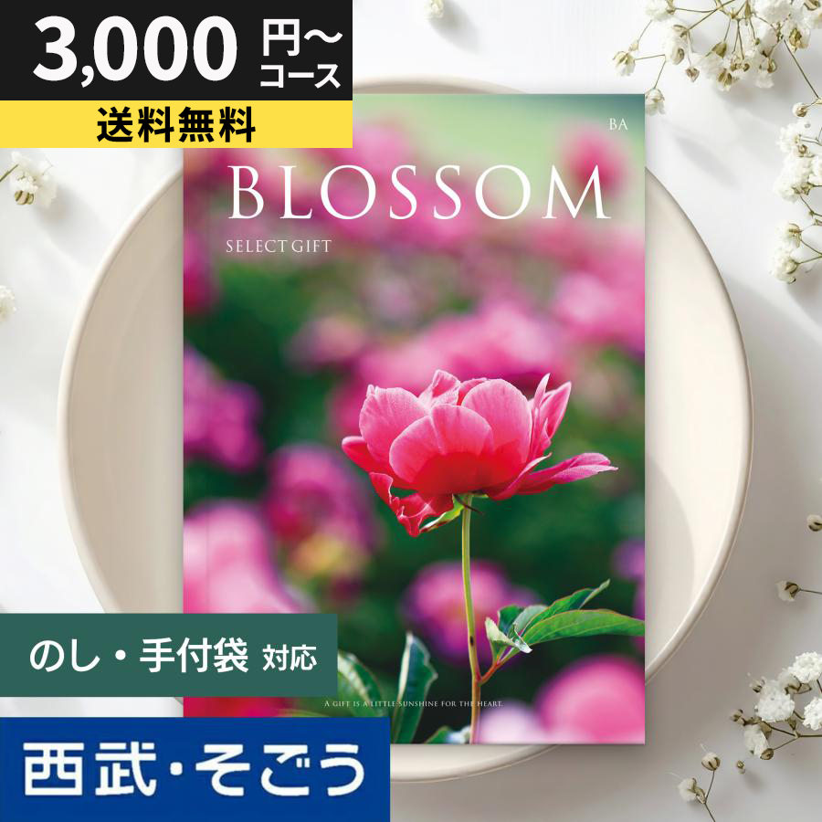 カタログギフト 内祝い 快気祝い 百貨店 結婚 誕生日 出産内祝い 結婚祝い 結婚式 引き出物 お返し 新築祝い 昇進祝い ブロッサム