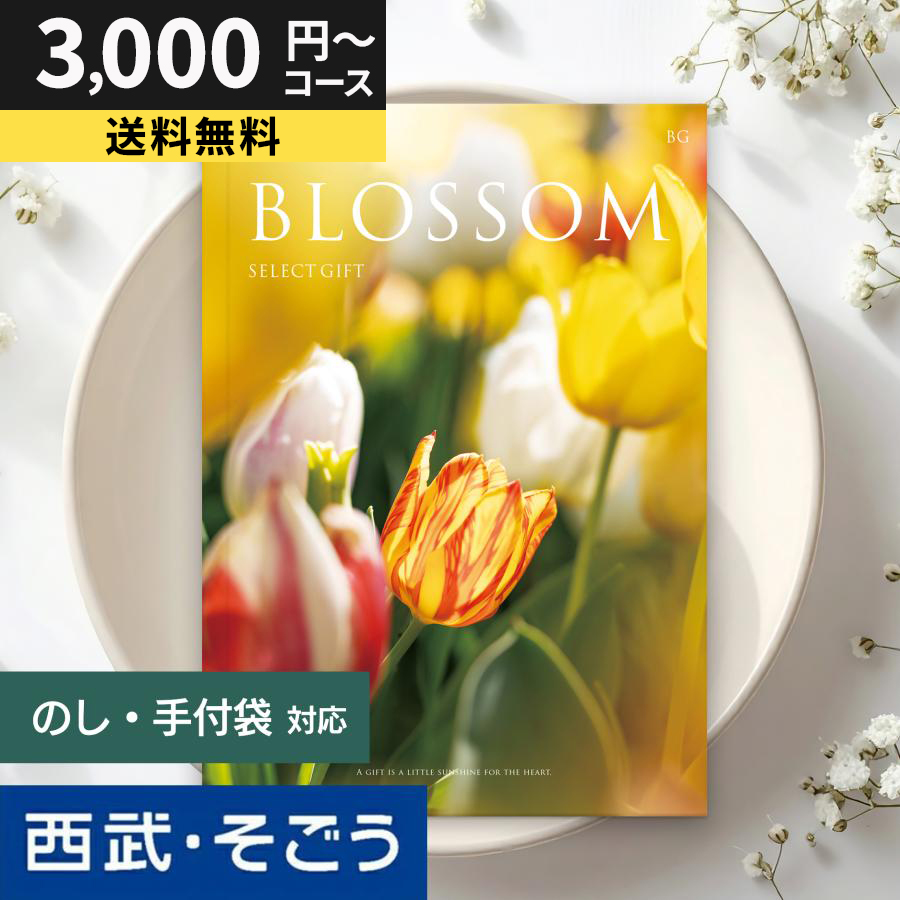 カタログギフト 内祝い 快気祝い 百貨店 結婚 誕生日 出産内祝い 結婚祝い 結婚式 引き出物 お返し 新築祝い 昇進祝い ブロッサム お中元 夏ギフト
