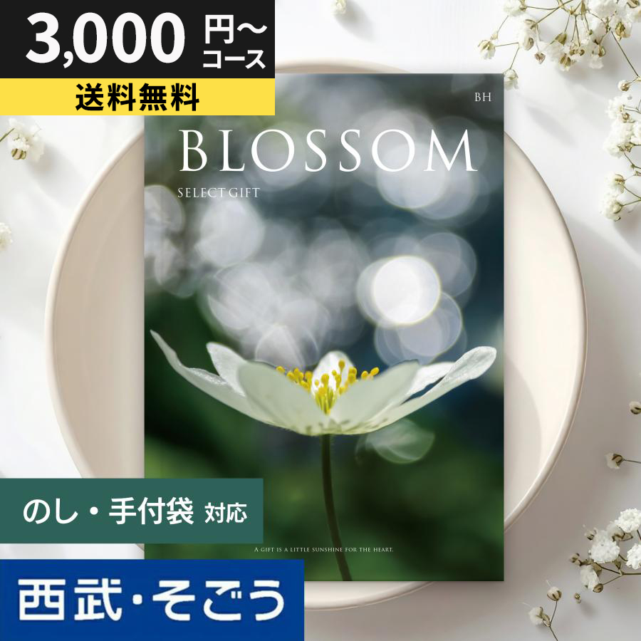 カタログギフト 内祝い 快気祝い 百貨店 結婚 誕生日 出産内祝い 結婚祝い 結婚式 引き出物 お返し 新築祝い 昇進祝い ブロッサム お中元 夏ギフト