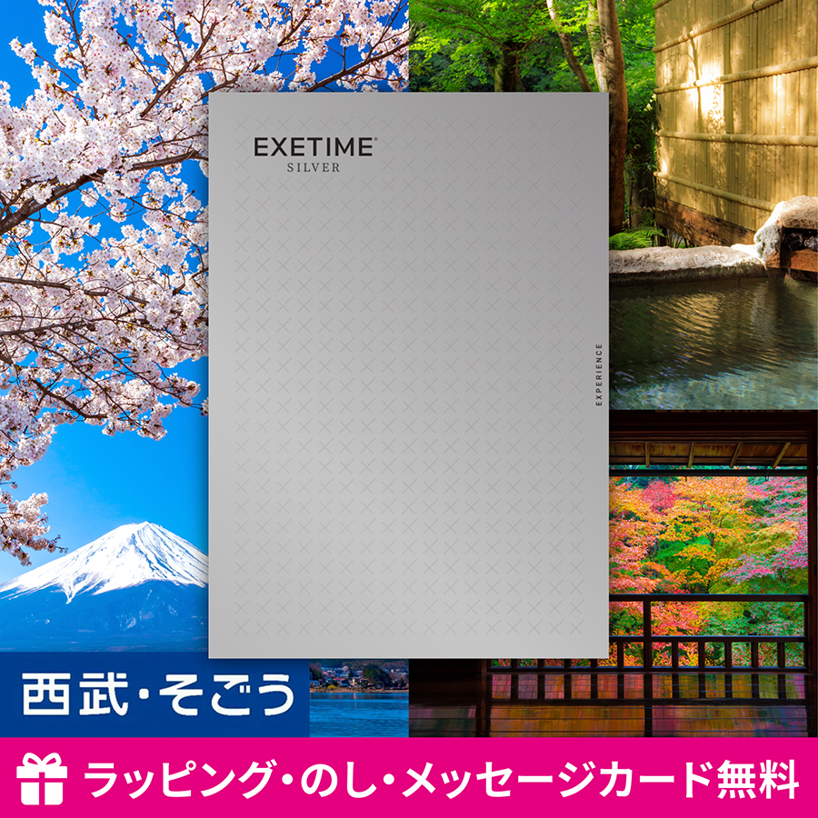 カタログギフト EXETIME SILVER エグゼタイム 体験 旅行 内祝い 快気祝い 百貨店 結婚 誕生日 出産内祝い 結婚祝い 結婚式 引き出物 お返し 新築祝い 昇進祝い
