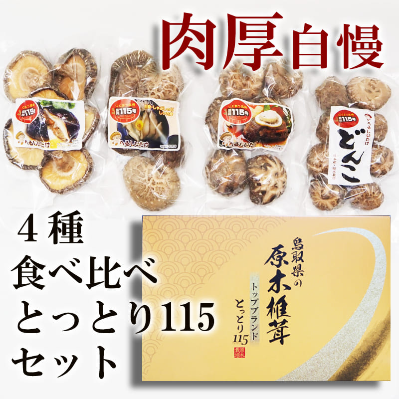 原木しいたけ 干し椎茸 国産（とっとり115）原木椎茸 セット