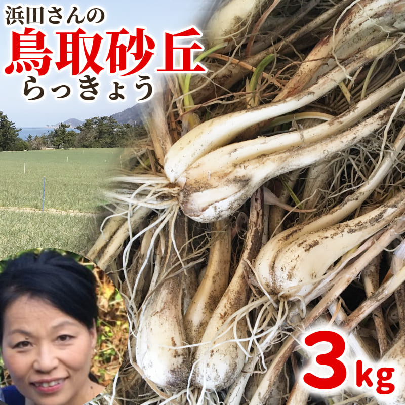 浜田さんのらっきょう 鳥取産 鳥取砂丘らっきょう 10kg 生らっきょう 浜田園 福部 砂根茎付き 大きさ不揃い らくだ 簡単レシピ付き らっきょう漬け  種苗土 : 7000222 : 鳥取人のごっつおう市場・食 - 通販 - Yahoo!ショッピング