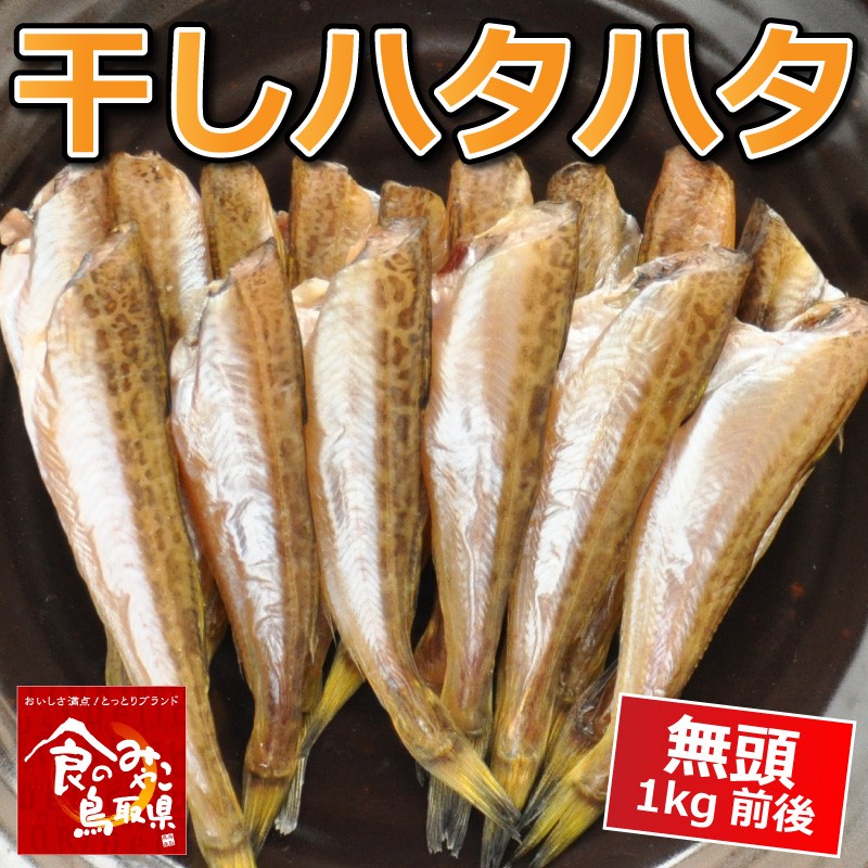 鳥取県産 干し ハタハタ 無頭 1kg前後 55尾 100尾 干物 一夜干し 冷凍 はたはた 鰰 浜下水産 鳥取人のごっつおう市場 食 通販 Yahoo ショッピング