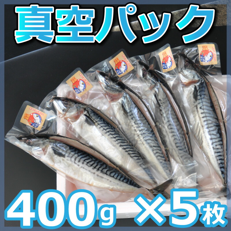鳥取県の塩サバ 酒ノ津仕立て 大 400g×5枚 冷蔵 真空パック 上野商店