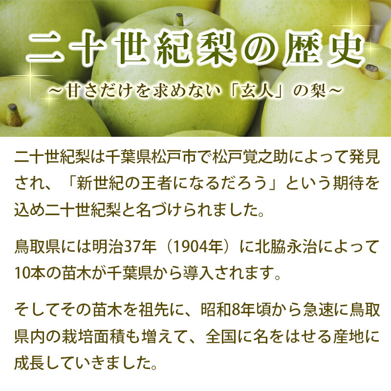 早割 梨王国鳥取 予約限定 梨 山田農園の二十世紀梨（2Lサイズ