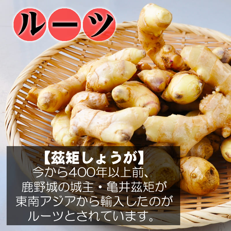 在庫限り【お買い得特価】中生姜　たね生姜　約20キロ　国産 41JhcrUVFzL._UF350,350_QL50_.jpg