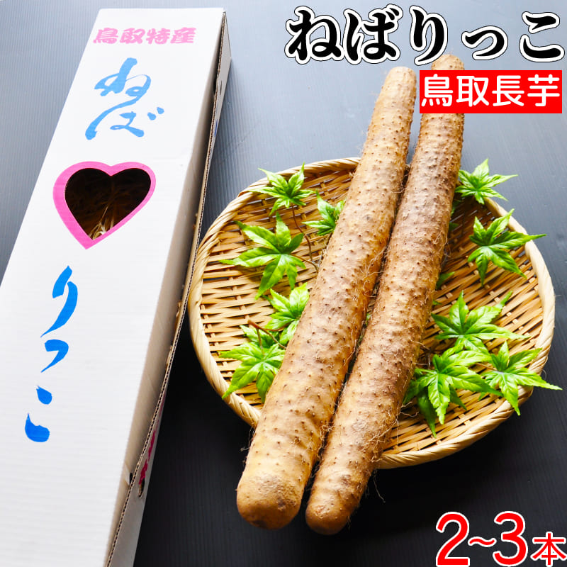 鳥取県オリジナル ねばりっこ 長芋 新品種 鳥取県産 2〜3本 箱入