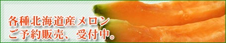 各種北海道産メロン ご予約販売、受付中