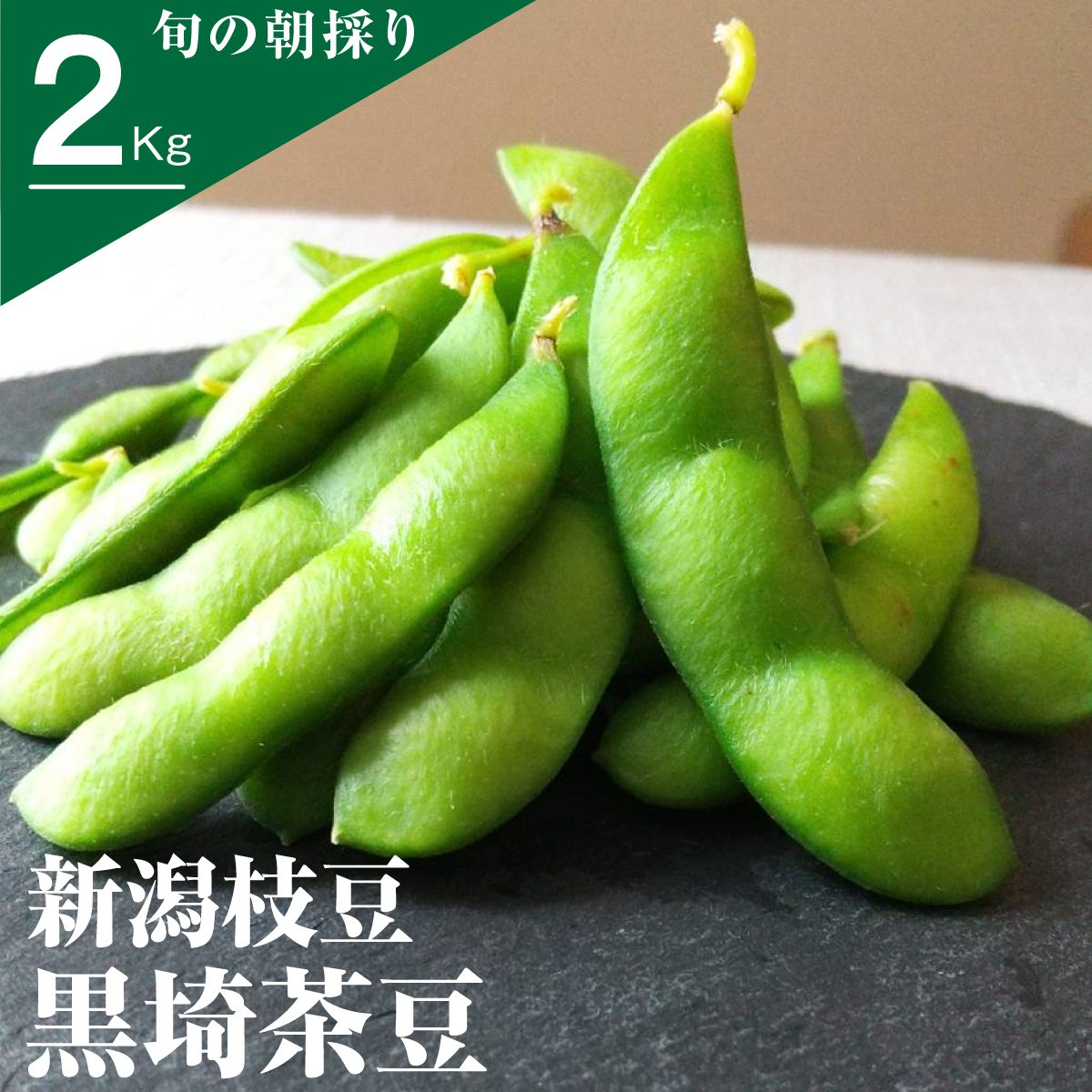 7月下旬頃出荷 今年も予約開始！大人気！新潟のブランド枝豆 黒埼茶豆