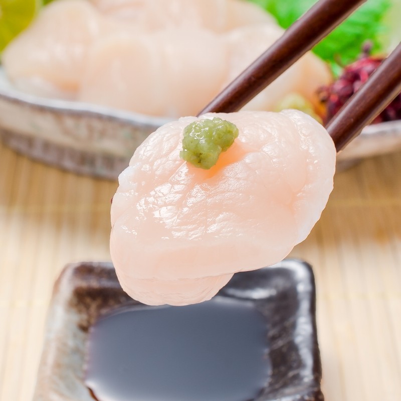 貝3種セット